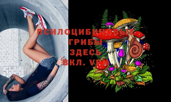 прущие крисы Балахна