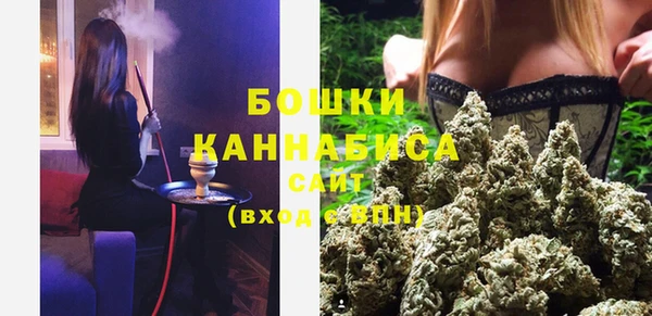 прущие крисы Балахна