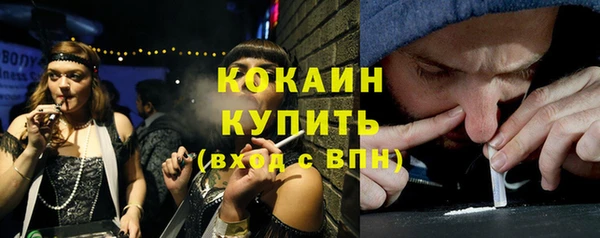 сатива Сатка